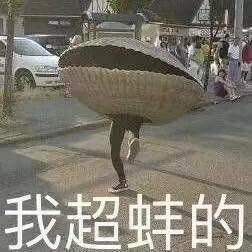 我超蚌的