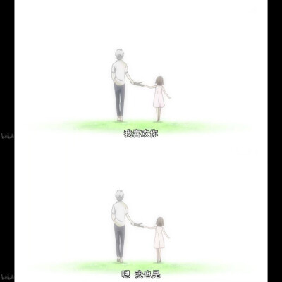萤火之森