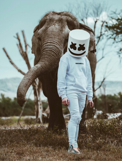 marshmello