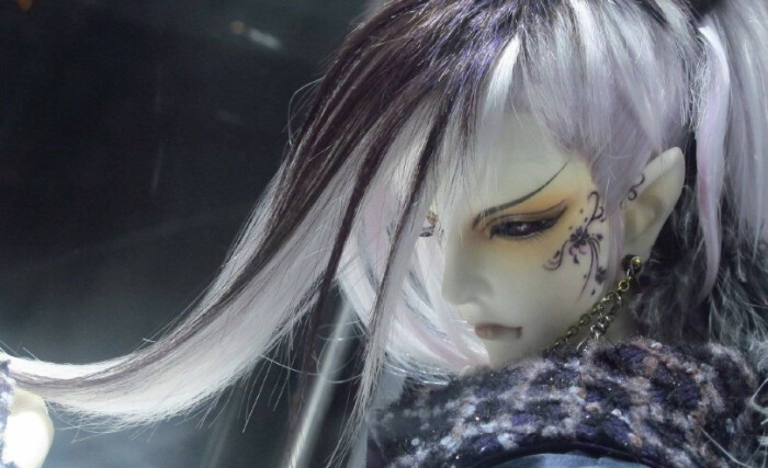 花信风 堆糖 美图壁纸兴趣社区