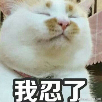 楼楼