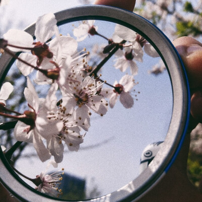 凌晨四点钟 海棠花未眠
我总觉得 你应该在我身边