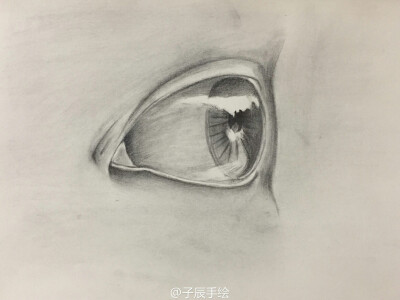 铅笔画