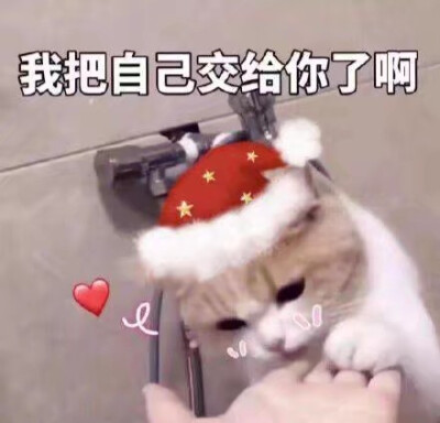 独家记忆♡