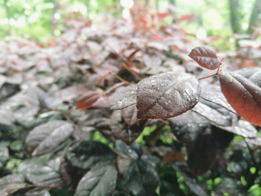 杭州……灵隐寺