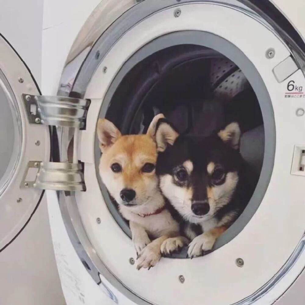 图片 男头 女头 情头 古风 少年 少女 美少年 帅哥 可爱 妖孽 萌 cp 人设 萌妹 二次元 漫画