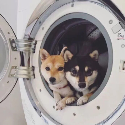 图片 男头 女头 情头 古风 少年 少女 美少年 帅哥 可爱 妖孽 萌 cp 人设 萌妹 二次元 漫画