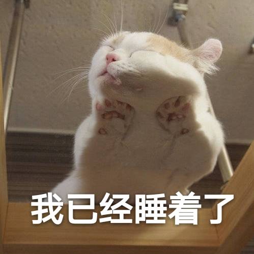 猫表情包