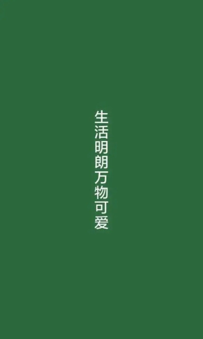 壁纸