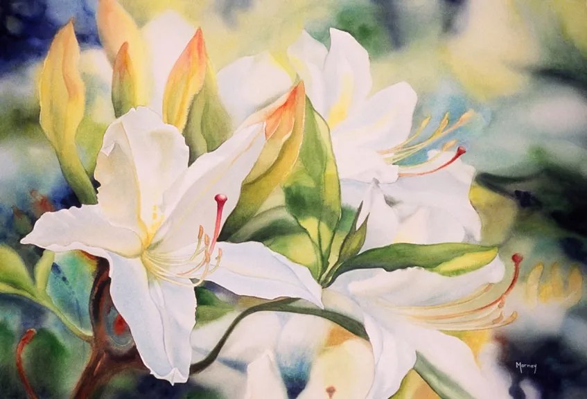 超写实水彩花卉