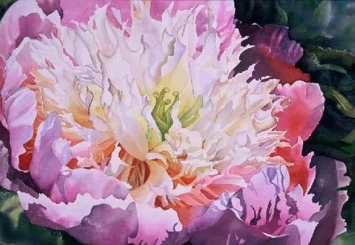 超写实水彩花卉