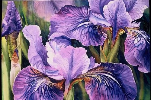 超写实水彩花卉