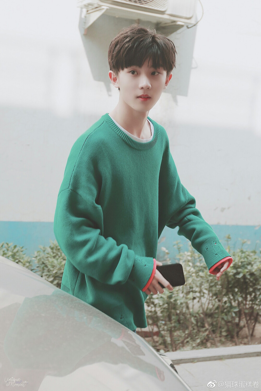 tf家族