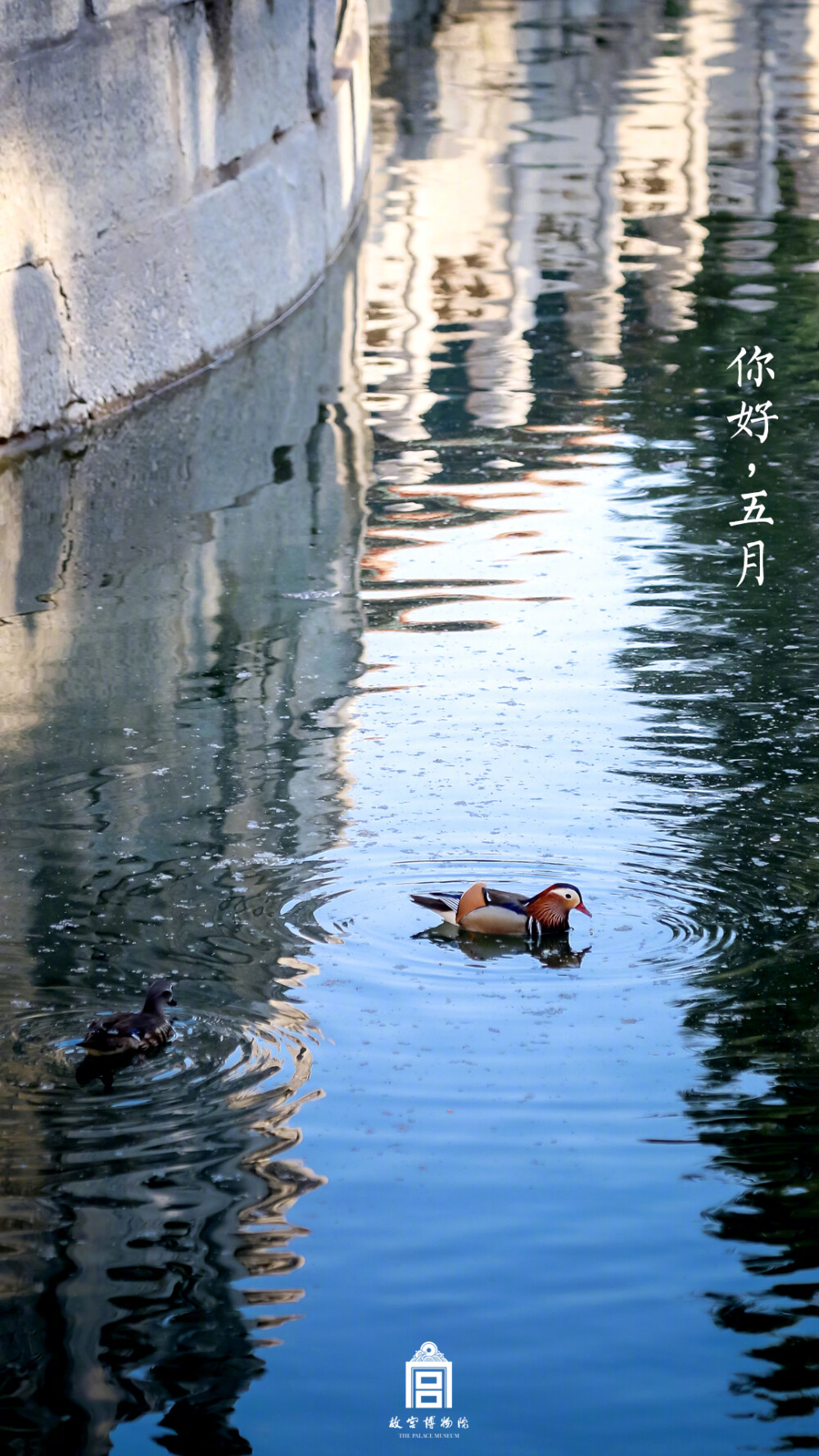 紫禁城【二〇一九年•五月•生灵】“飞飞鸳鸯鸟，举翼相蔽亏。俱来绿潭里，共向白云涯。音容相眷恋，羽翮两逶迤。苹萍戏春渚，霜霰绕寒池。浦沙连岸净，汀树拂潭垂。年年此游玩，岁岁来追随。凤凰起丹穴，独向梧桐枝。鸿雁来紫塞，空忆稻粱肥。乌啼倦依托，鹤鸣伤别离。岂若此双禽，飞翻不异林。刷尾青江浦，交颈紫山岑。文章负奇色，和鸣多好音。闻有鸳鸯绮，复有鸳鸯衾。持为美人赠，勖此故交心” 照片取自@故宫博物院