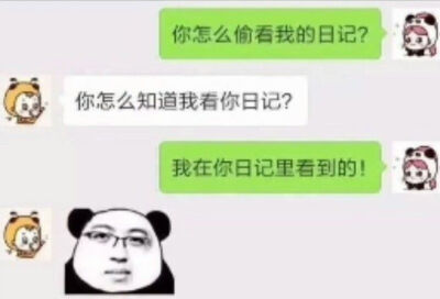 偷看日记