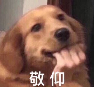 狗吃鲸