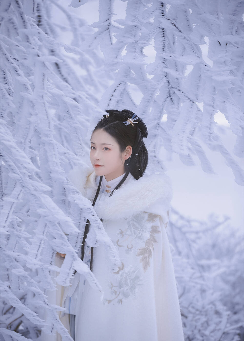 江湖不似我来时