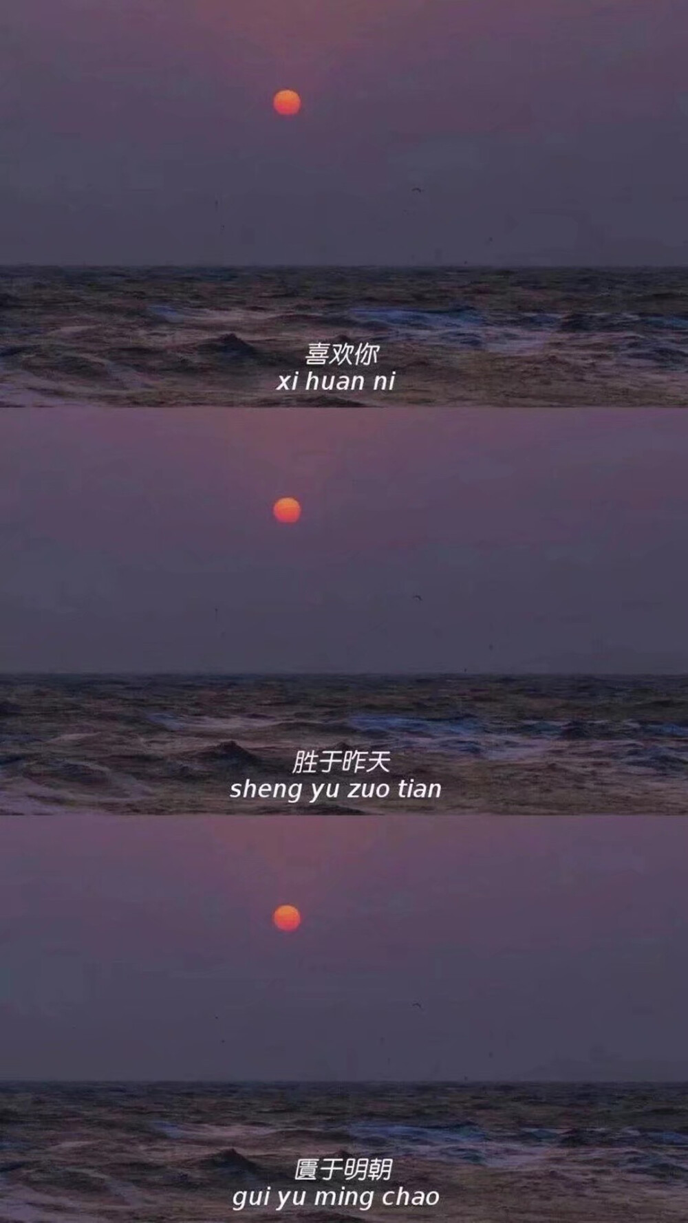 你的信太过官方 都不说想我