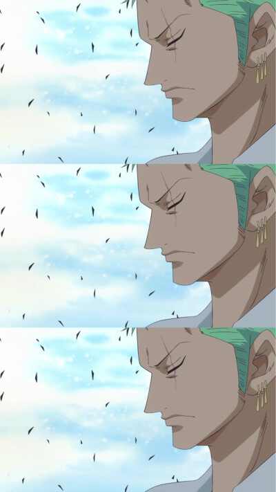 Zoro