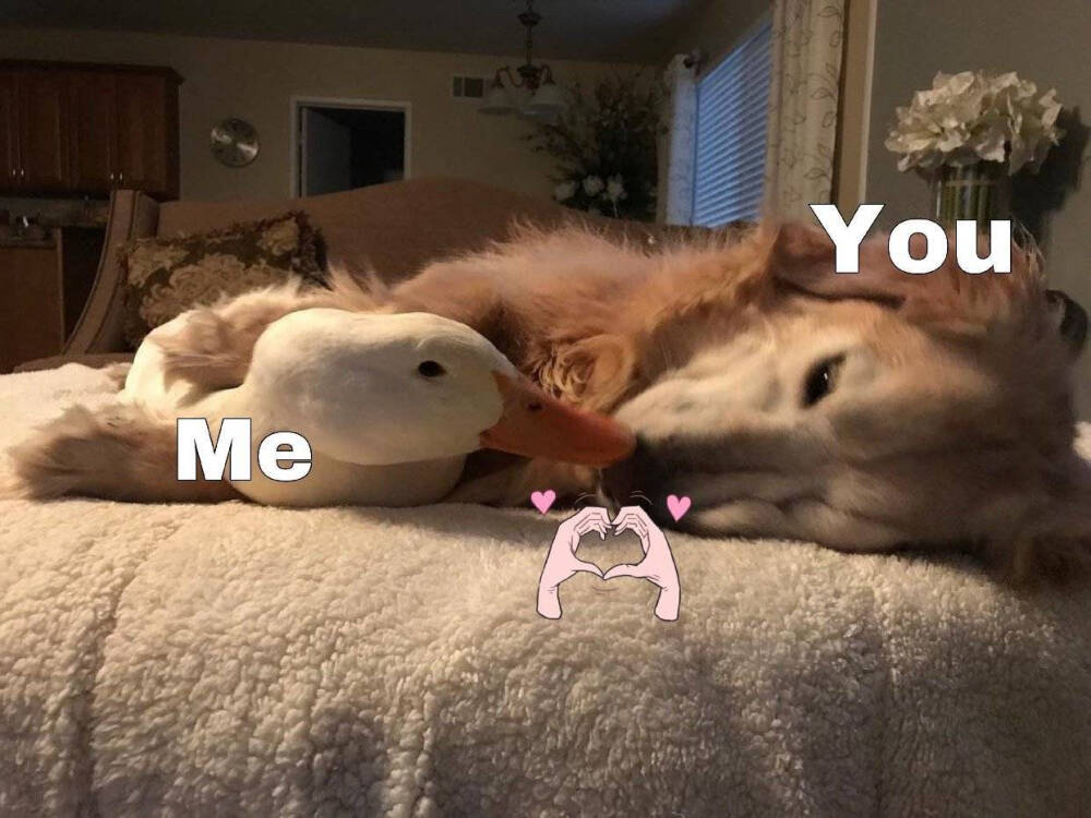 ପ( ˘ᵕ˘ ) ੭ ☆