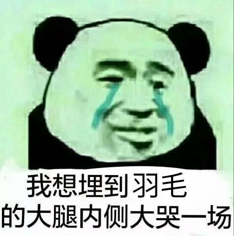 羽毛