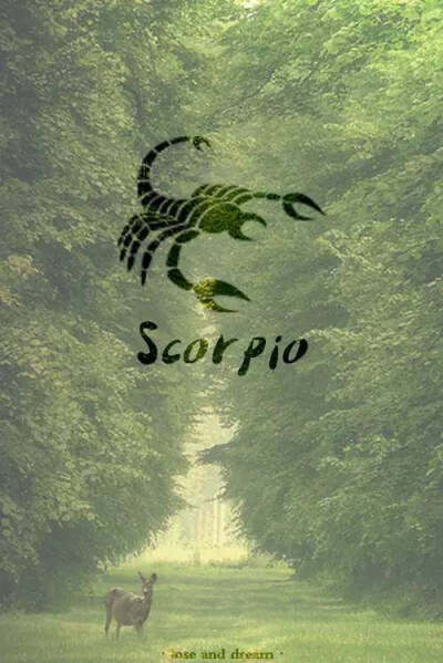 天蝎座 Scorpio
Sensual = 世俗
Clingy at times = 有时喜欢粘人
Observant = 观察力敏锐
Reserved = 含蓄
Private = 注重隐私
Intriguing = 有魅力
Obsessive = 有强迫症