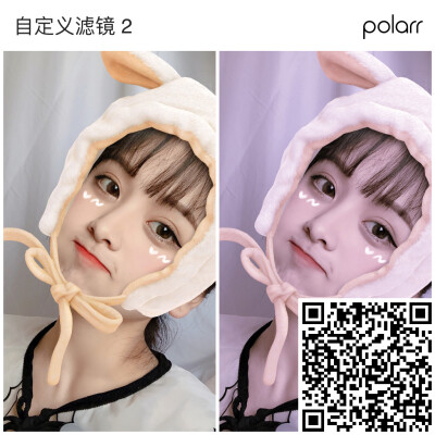 polarr 适合调网图的