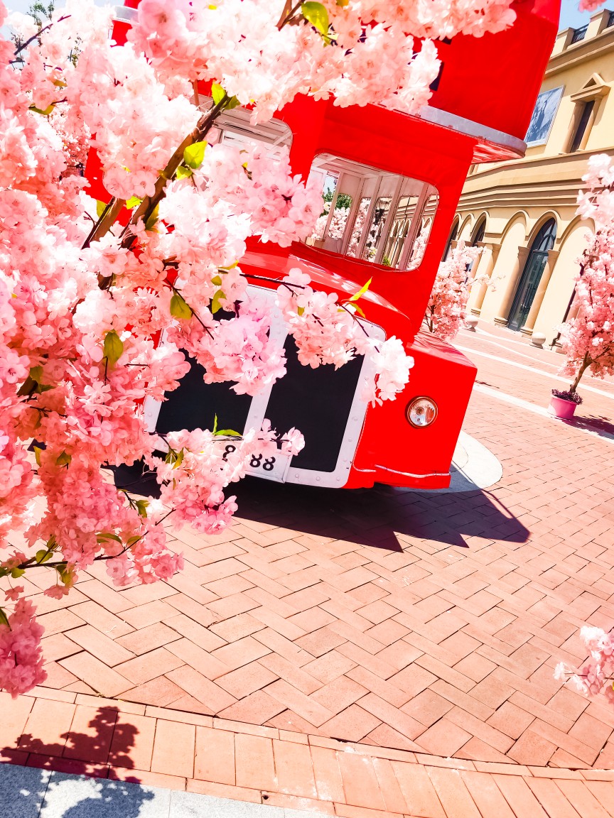 给你们分享我昨天出去玩拍的照片。我修了一下你们可以当壁纸用。