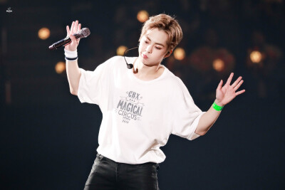 EXO XIUMIN 金珉锡