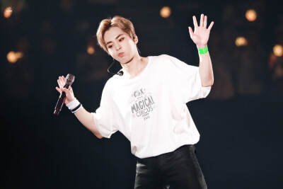 EXO XIUMIN 金珉锡