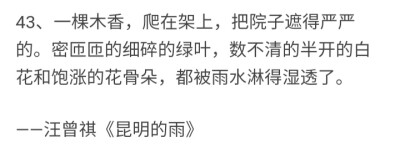 堆糖乃婉/
风的巴掌是小小的叶脉，山和它悄悄握了手，就拥有了整片森林。
斯人如宝藏，呐，我就是这样辨认出你的呢。