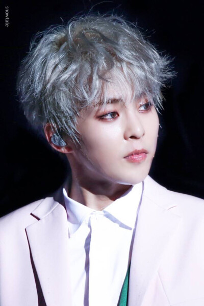 EXO XIUMIN 金珉锡