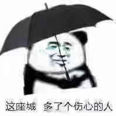  表情包