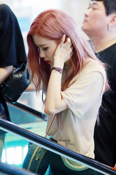 blackpink朴彩英rose高清手机壁纸