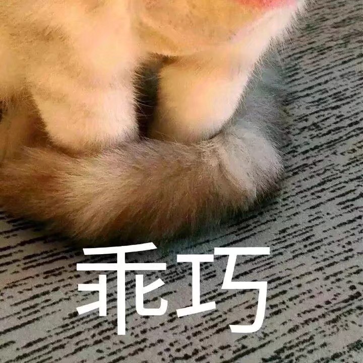 猫咪可爱萌宠表情包