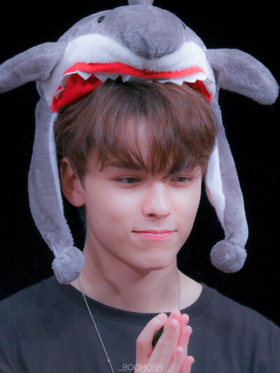 SEVENTEEN VERNON 崔韓率