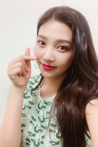 姓名：朴秀荣、박수영、ParkSooYoung
艺名：Joy、乔伊、조이
昵称：啾一、九妹、九儿
代表色：绿色
代表水果：猕猴桃
代表动物：小鸡
注：身份证上的名字为[朴秀英]