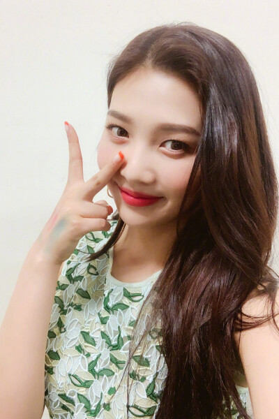 姓名：朴秀荣、박수영、ParkSooYoung
艺名：Joy、乔伊、조이
昵称：啾一、九妹、九儿
代表色：绿色
代表水果：猕猴桃
代表动物：小鸡
注：身份证上的名字为[朴秀英]