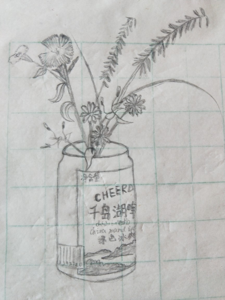 第三张小侄女画的花，我的乌龟，花