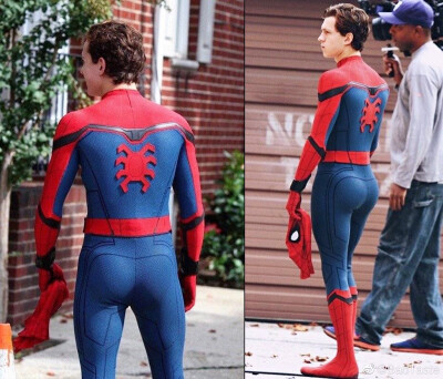 tomholland