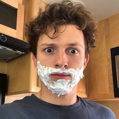 tomholland