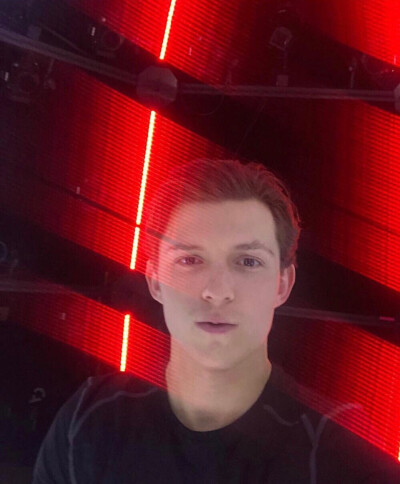 tomholland