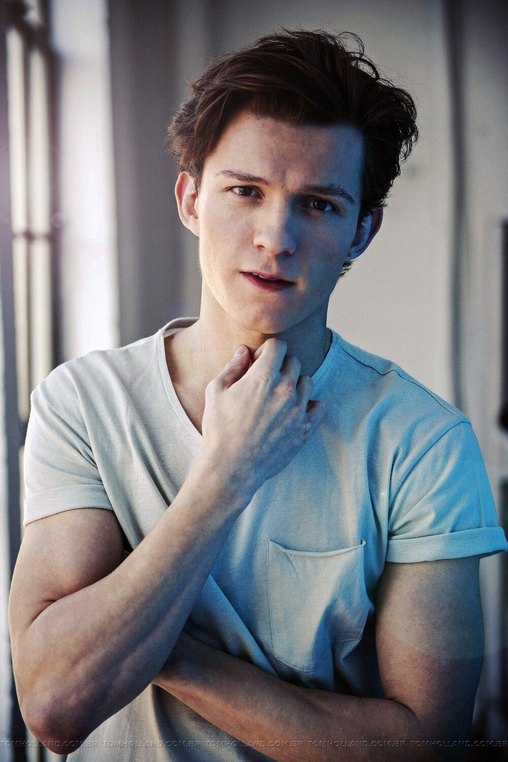 tomholland