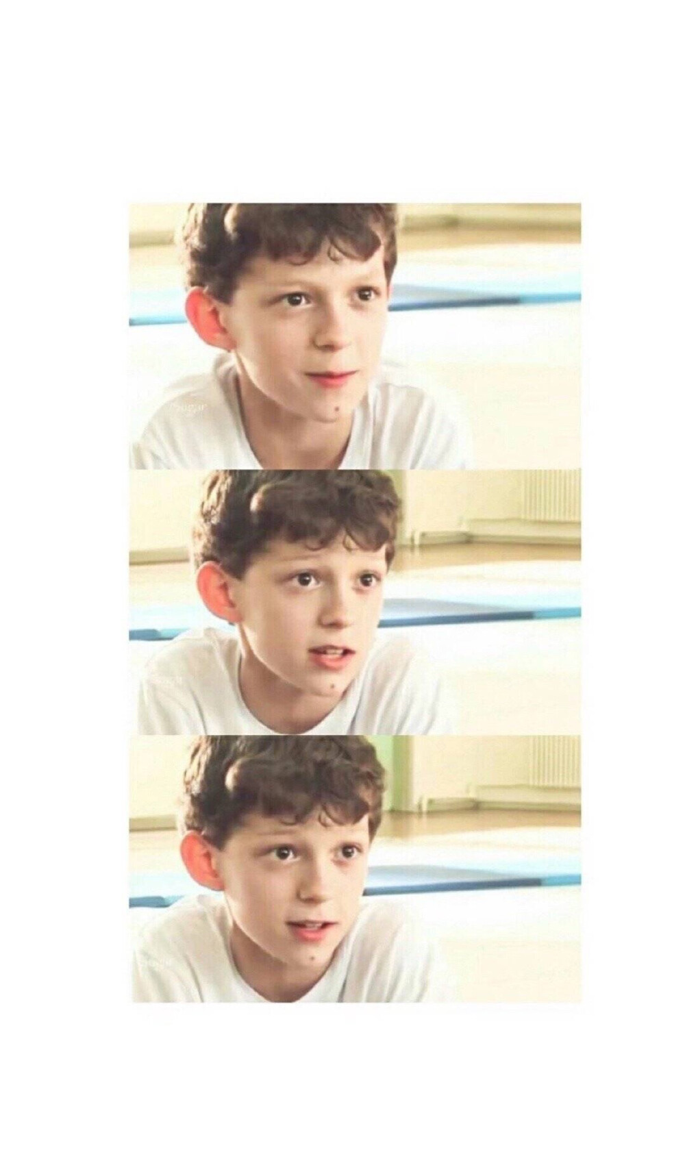 tomholland