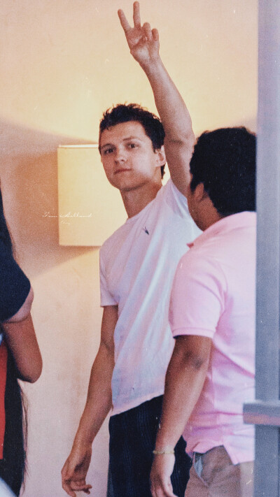 tomholland