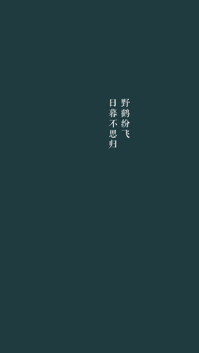 文字壁纸