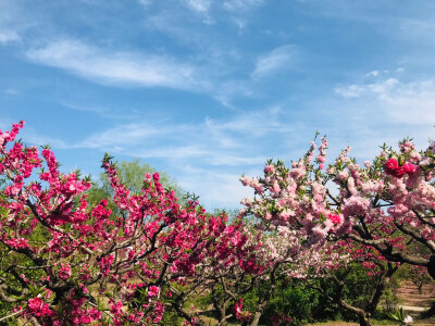 风景照，立夏。小程序搜索果宸艺术空间