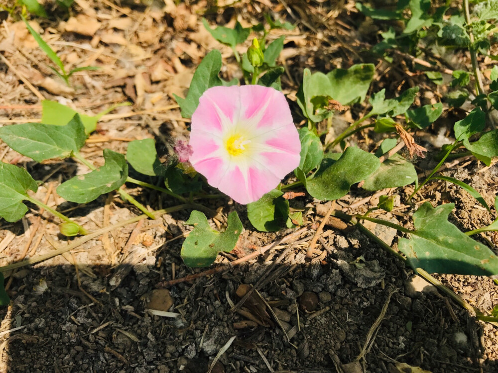 风景照，立夏。小程序搜索果宸艺术空间