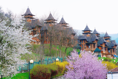 云青青兮欲雨 水澹澹兮生烟
隔着水汽氤氲的烟幕 小火车带着喧嚣而至