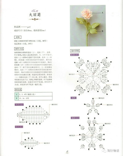 中里华奈迷人的蕾丝花饰钩编花朵图解
